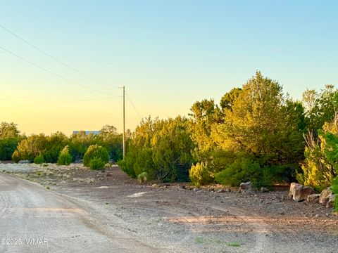 Tiny photo for 50 Winchester (3151) Boulevard, Vernon, AZ 85940 (MLS # 256431)