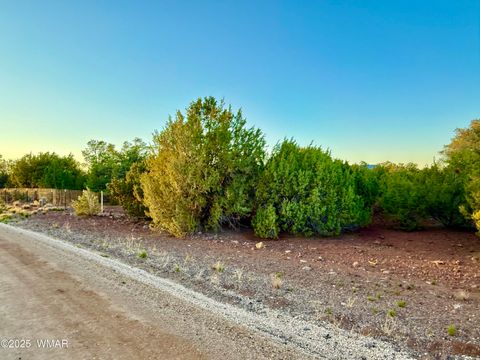 Tiny photo for 50 Winchester (3151) Boulevard, Vernon, AZ 85940 (MLS # 256431)