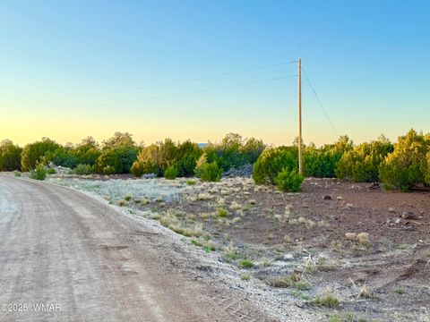Tiny photo for 50 Winchester (3151) Boulevard, Vernon, AZ 85940 (MLS # 256431)