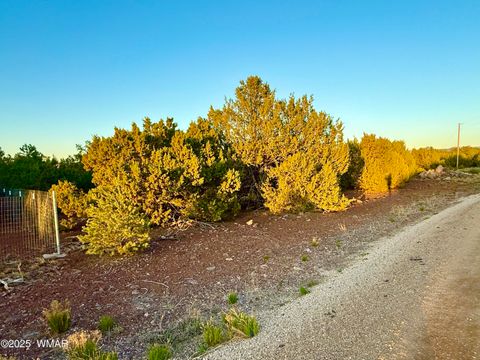 Tiny photo for 50 Winchester (3151) Boulevard, Vernon, AZ 85940 (MLS # 256431)