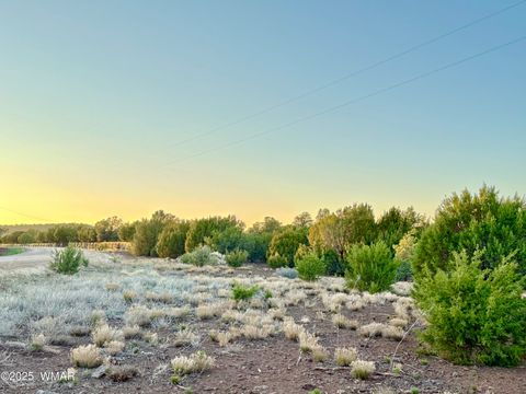 Tiny photo for 50 Winchester (3151) Boulevard, Vernon, AZ 85940 (MLS # 256431)