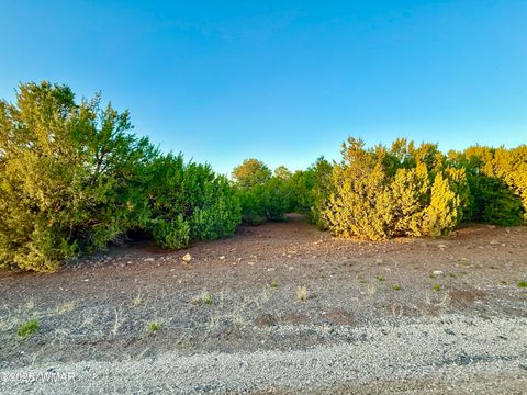 Tiny photo for 50 Winchester (3151) Boulevard, Vernon, AZ 85940 (MLS # 256431)