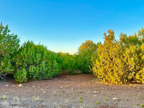 Tiny photo for 50 Winchester (3151) Boulevard, Vernon, AZ 85940 (MLS # 256431)