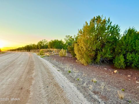 Tiny photo for 50 Winchester (3151) Boulevard, Vernon, AZ 85940 (MLS # 256431)