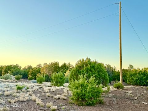 Tiny photo for 50 Winchester (3151) Boulevard, Vernon, AZ 85940 (MLS # 256431)
