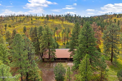 Photo of 41005 AZ-261B, Eagar, AZ 85925 (MLS # 263379)