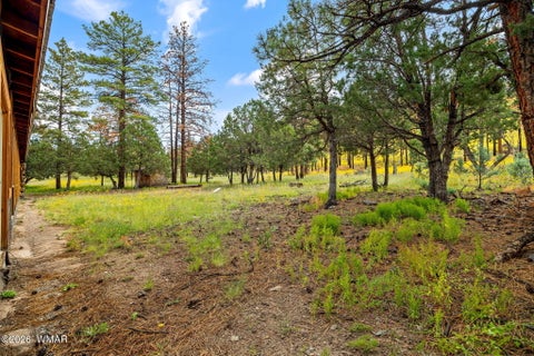 Tiny photo for 41005 AZ-261B, Eagar, AZ 85925 (MLS # 263379)