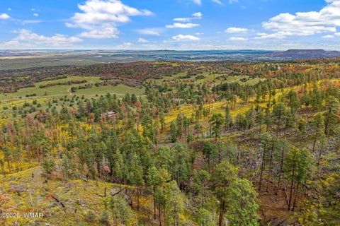 Tiny photo for 41005 AZ-261B, Eagar, AZ 85925 (MLS # 263379)