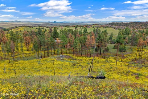 Tiny photo for 41005 AZ-261B, Eagar, AZ 85925 (MLS # 263379)