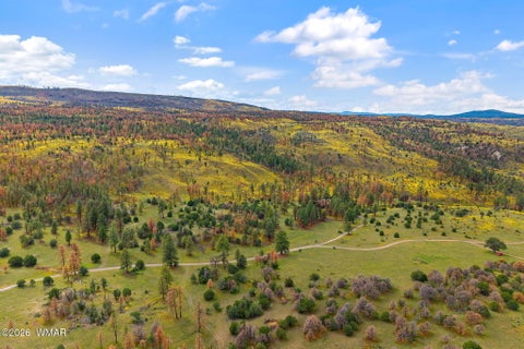 Tiny photo for 41005 AZ-261B, Eagar, AZ 85925 (MLS # 263379)