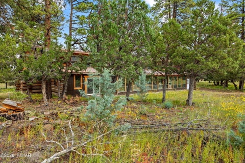 Tiny photo for 41005 AZ-261B, Eagar, AZ 85925 (MLS # 263379)