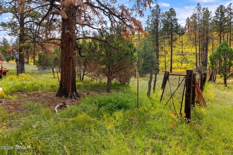 Tiny photo for 41005 AZ-261B, Eagar, AZ 85925 (MLS # 263379)