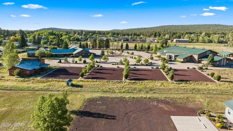 Tiny photo for 2119 S Penrod Lane, Pinetop, AZ 85935 (MLS # 261453)