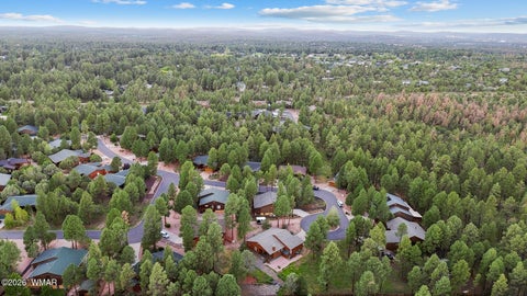 Tiny photo for 1151 N Needles Creek Drive, Show Low, AZ 85901 (MLS # 262956)