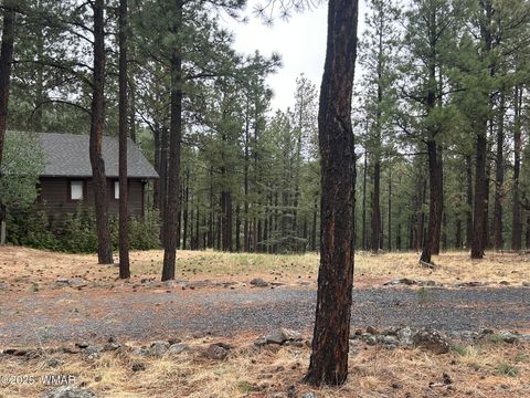 Tiny photo for 3 ACR 1029 Street, Greer, AZ 85927 (MLS # 257168)