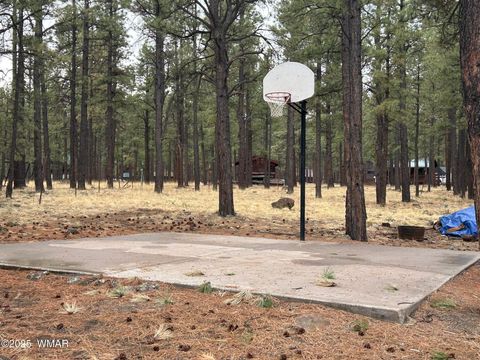 Tiny photo for 3 ACR 1029 Street, Greer, AZ 85927 (MLS # 257168)