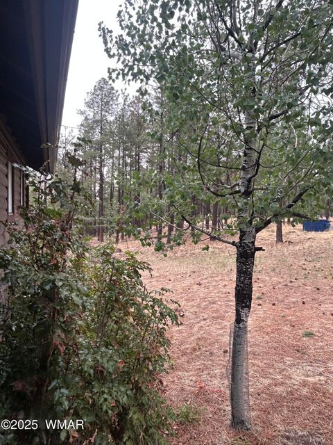 Tiny photo for 3 ACR 1029 Street, Greer, AZ 85927 (MLS # 257168)