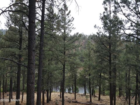 Tiny photo for 3 ACR 1029 Street, Greer, AZ 85927 (MLS # 257168)