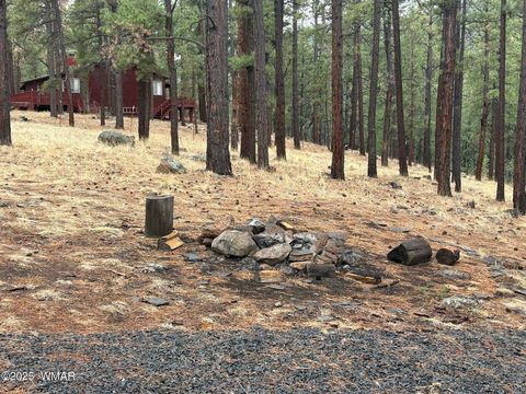 Tiny photo for 3 ACR 1029 Street, Greer, AZ 85927 (MLS # 257168)