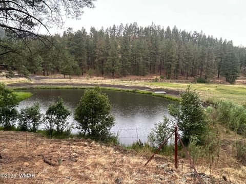 Photo of 3 ACR 1029 Street, Greer, AZ 85927 (MLS # 257168)