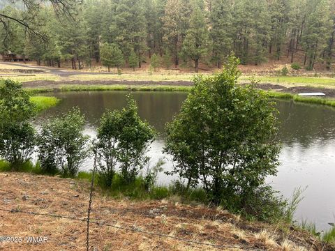 Tiny photo for 3 ACR 1029 Street, Greer, AZ 85927 (MLS # 257168)