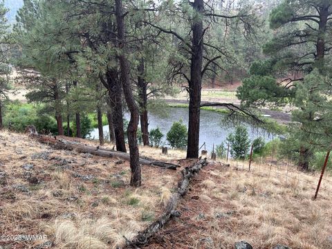 Tiny photo for 3 ACR 1029 Street, Greer, AZ 85927 (MLS # 257168)