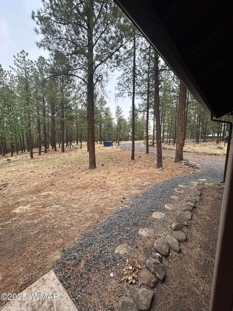 Tiny photo for 3 ACR 1029 Street, Greer, AZ 85927 (MLS # 257168)