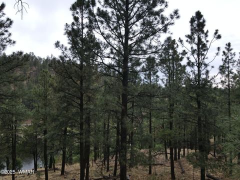 Tiny photo for 3 ACR 1029 Street, Greer, AZ 85927 (MLS # 257168)