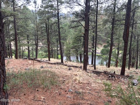Tiny photo for 3 ACR 1029 Street, Greer, AZ 85927 (MLS # 257168)