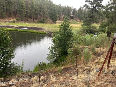 Tiny photo for 3 ACR 1029 Street, Greer, AZ 85927 (MLS # 257168)