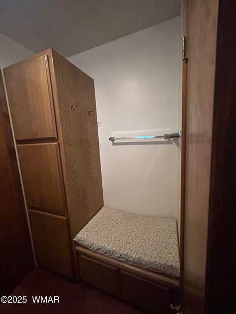 Tiny photo for 3 ACR 1029 Street, Greer, AZ 85927 (MLS # 257168)