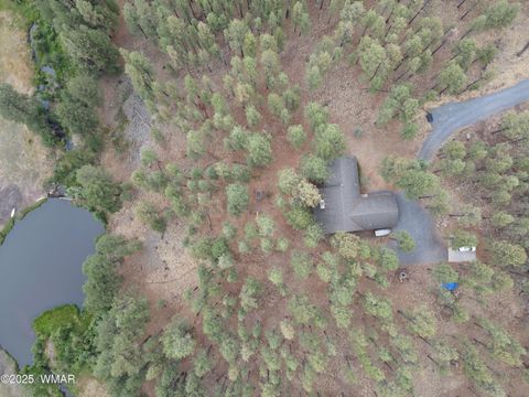 Tiny photo for 3 ACR 1029 Street, Greer, AZ 85927 (MLS # 257168)