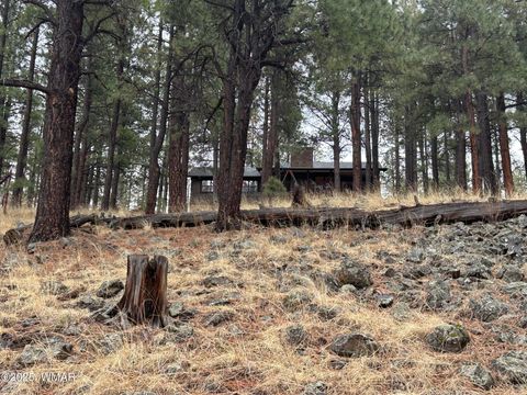 Tiny photo for 3 ACR 1029 Street, Greer, AZ 85927 (MLS # 257168)