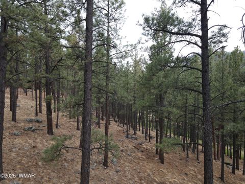 Tiny photo for 3 ACR 1029 Street, Greer, AZ 85927 (MLS # 257168)