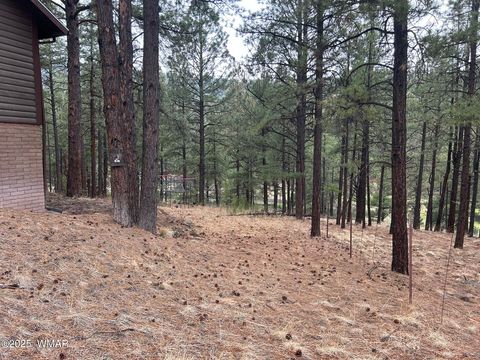 Tiny photo for 3 ACR 1029 Street, Greer, AZ 85927 (MLS # 257168)