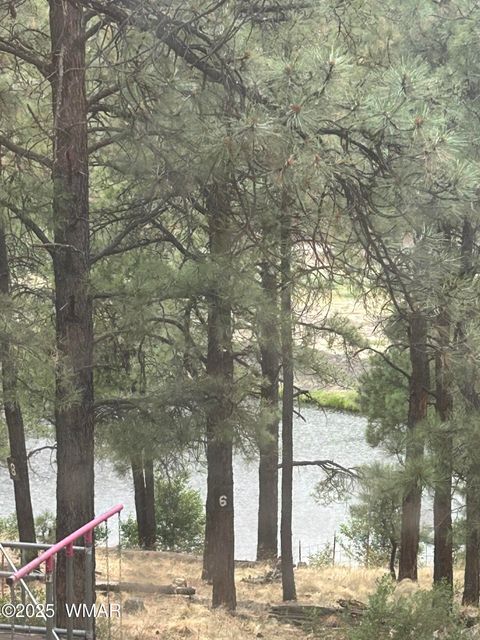 Tiny photo for 3 ACR 1029 Street, Greer, AZ 85927 (MLS # 257168)