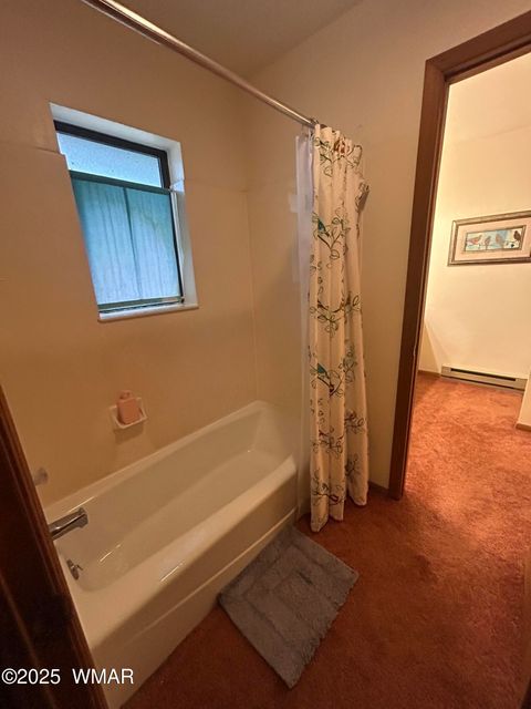 Tiny photo for 3 ACR 1029 Street, Greer, AZ 85927 (MLS # 257168)