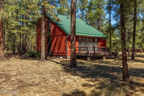 Tiny photo for 11 N 1030 Street, Greer, AZ 85927 (MLS # 255504)