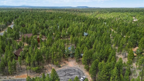 Tiny photo for 4449 Star Shine Circle, Happy Jack, AZ 86024 (MLS # 260927)