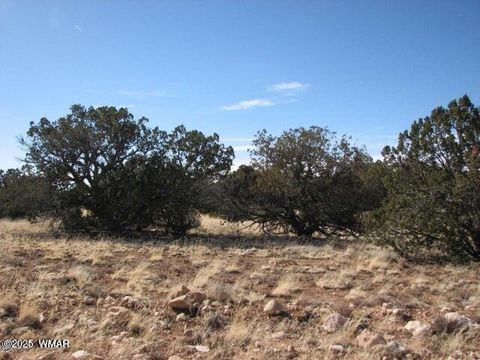 Photo of 6251 Dry Pasture Run Lot 216, Heber, AZ 85928 (MLS # 255305)