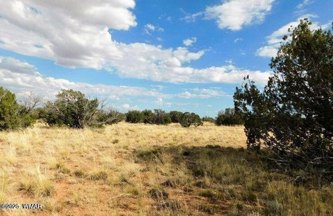 Tiny photo for 6251 Dry Pasture Run Lot 216, Heber, AZ 85928 (MLS # 255305)