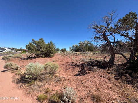 Tiny photo for W Sand Trap Lane, Snowflake, AZ 85937 (MLS # 261984)