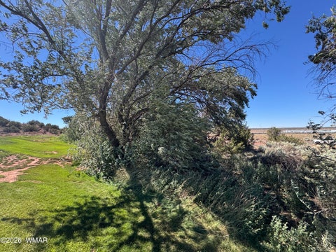 Tiny photo for W Sand Trap Lane, Snowflake, AZ 85937 (MLS # 261984)