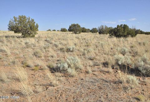 Tiny photo for 000 Clyde Road, Snowflake, AZ 85937 (MLS # 256282)