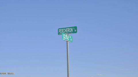 Tiny photo for 000 Clyde Road, Snowflake, AZ 85937 (MLS # 256282)