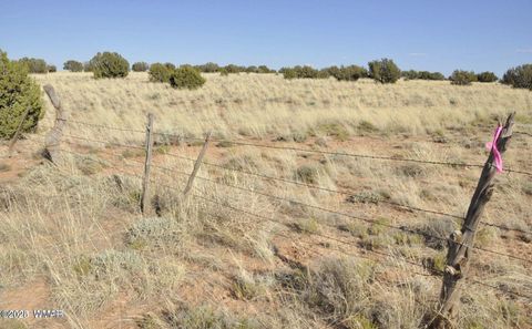 Tiny photo for 000 Clyde Road, Snowflake, AZ 85937 (MLS # 256282)