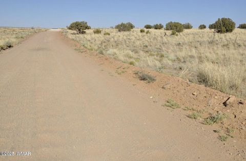 Tiny photo for 000 Clyde Road, Snowflake, AZ 85937 (MLS # 256282)