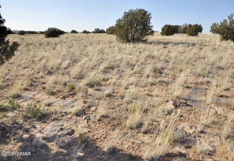Tiny photo for 000 Clyde Road, Snowflake, AZ 85937 (MLS # 256282)