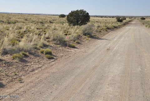 Photo of 000 Clyde Road, Snowflake, AZ 85937 (MLS # 256282)