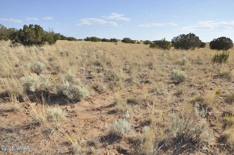 Tiny photo for 000 Clyde Road, Snowflake, AZ 85937 (MLS # 256282)